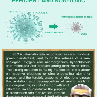 Disinfectant Effervescent Tablet - 100g