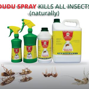 Dudu Spray 500ml for Mosquitoes, Cockroaches, and Ants