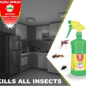 Dudu Spray 1L for Mosquitoes, Cockroaches, and Ants