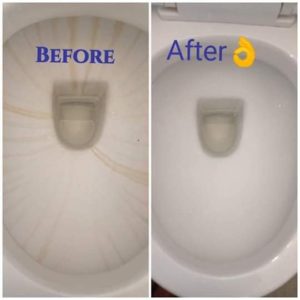 Magic Toilet Bowl Cleaner (1ltr)