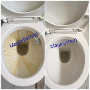 Magic Toilet Bowl Cleaner (1ltr)