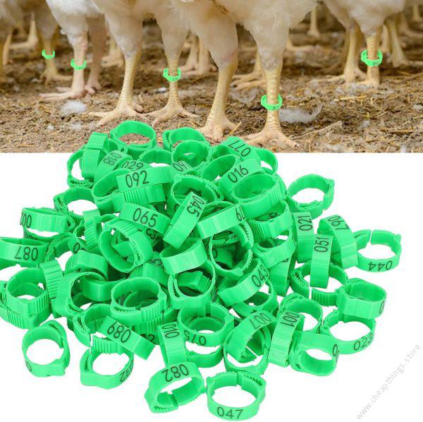 Birds or Chicken Leg Bands Green 1pc