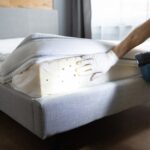 Book Bed Bug Control