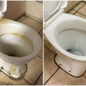 Toppan Toilet Cleaner (1ltr)