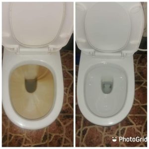 Toppan Toilet Cleaner (1ltr)