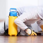 bed-bug-control-companies