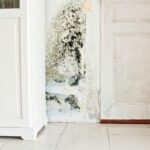 Survey for Mold Fumigation