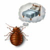 Do you know how to prepare for bedbug treatment?