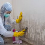 1 Bedroom Mold Control