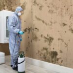 Survey for Mold Control
