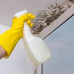Double Room Mold Control