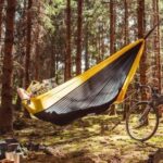 Hammock