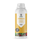 Albion