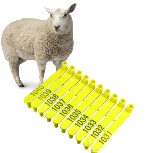 Goat Ear Tags
