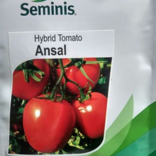 Ansal F1 Hybrid Tomato (Seminis) - 10g