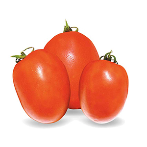 Big Rock F1 Tomatoes 1,000 Seeds