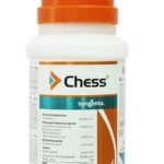 Chess