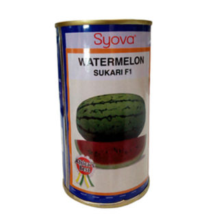 F1 Hybrid Watermelon Seeds - 100g