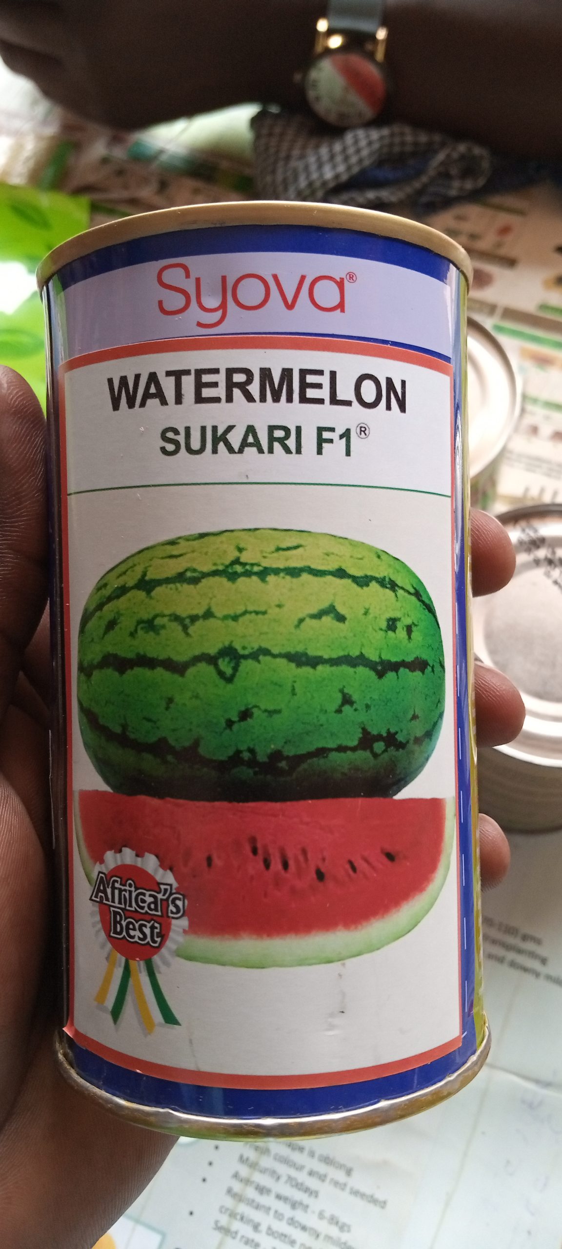 F1 Hybrid Watermelon Seeds - 500g