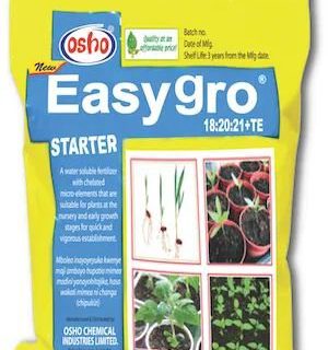 Easygro Starter 250g
