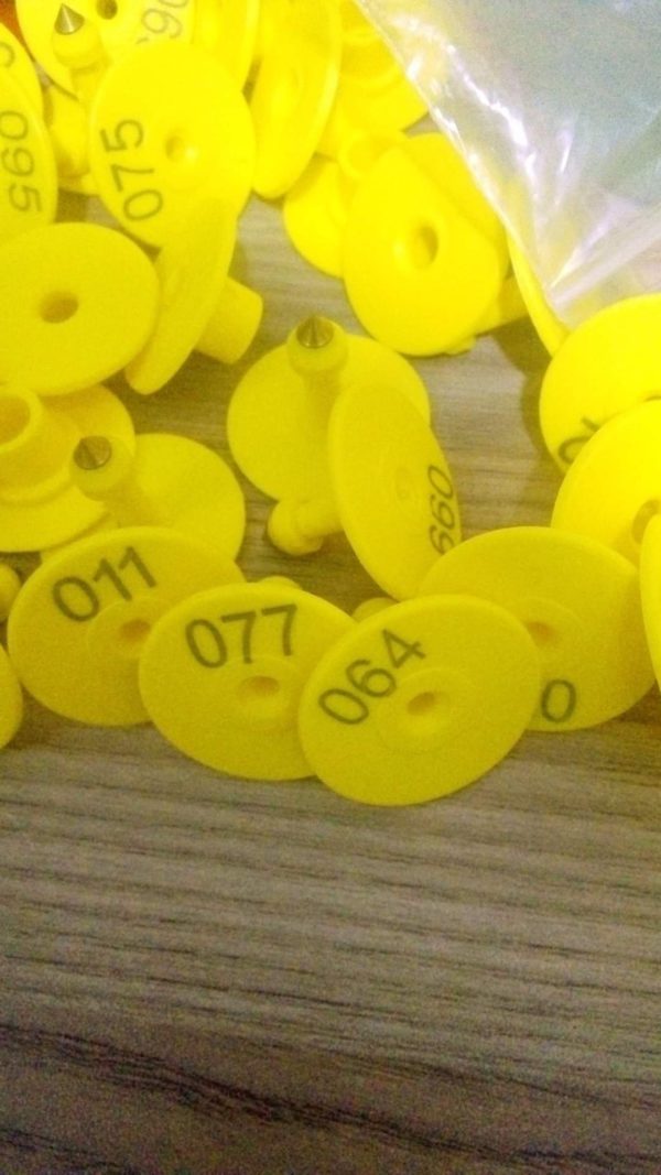 Round Ear Tags