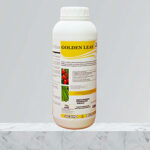 Golden Leaf - 50ml