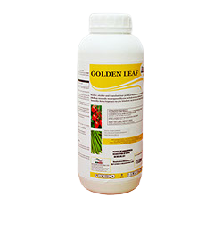 Golden Leaf - 250ml