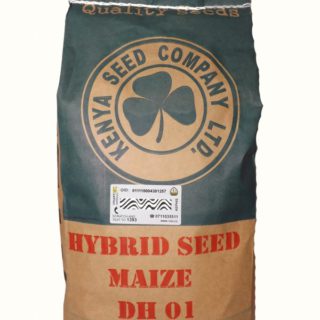 Maize - Dry Land Varieties - DH02