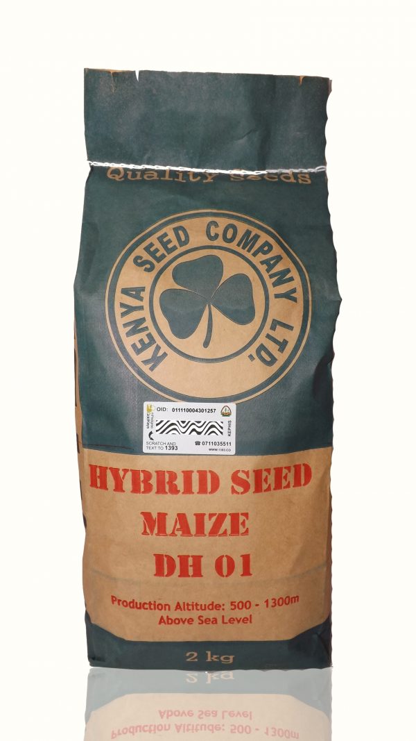 Maize - Dry Land Varieties - DH02