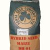 Maize - Dry Land Varieties - DH03