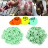Goat Ear Tags
