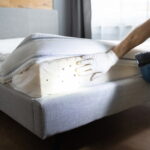 Survey on Bed Bug Fumigation