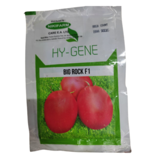 Big rock F1 Tomatoes (Hy-gene) - 5,000 seeds