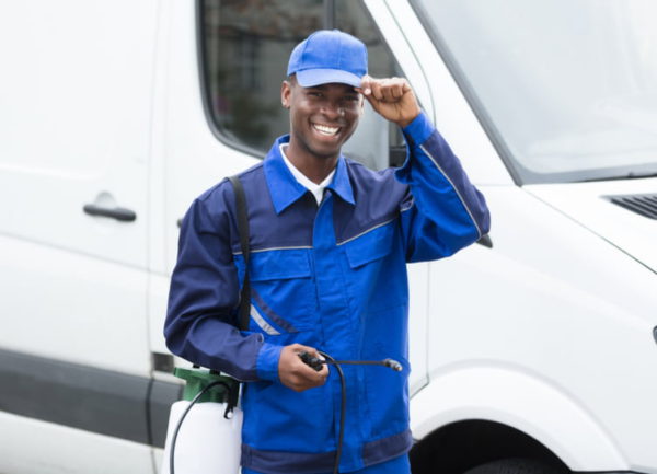 Lorry Bed Bug Fumigation