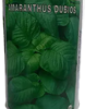 Amaranthus Dubios 100g