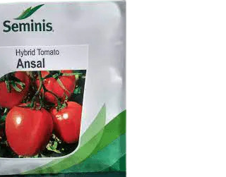 Ansal F1 tomato 25