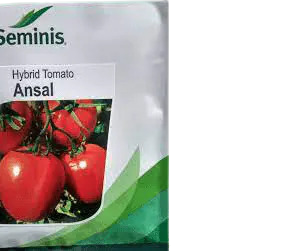Ansal F1 tomato 10g