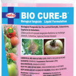 Bio Cure B 1L