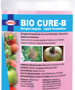 Bio Cure B 1L