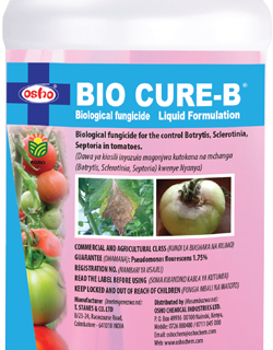 Bio Cure B 1L
