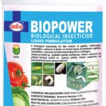 Bio Power 1L