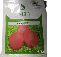 Big Rock F1 tomato 10,000 seeds