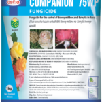 Companion 75 WP (1kg)