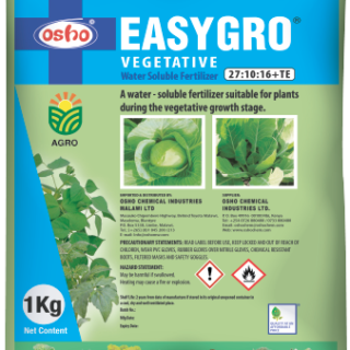 Easygro Vegetative 40g