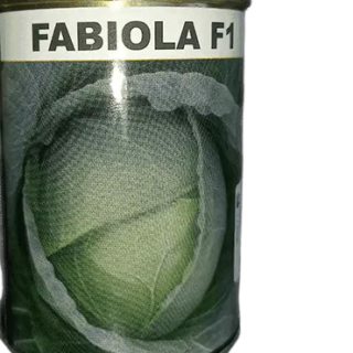 Cabbage Fabiola F1 50g