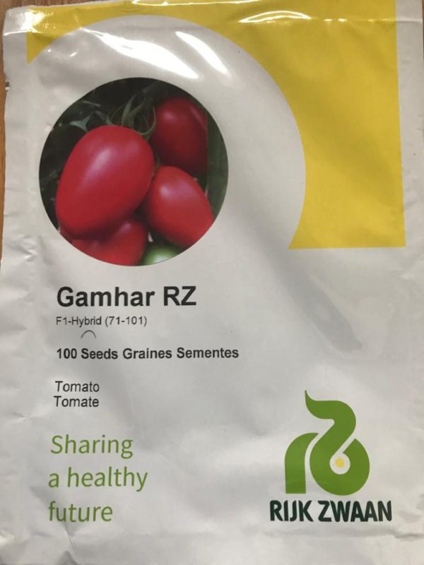 Tomato GAMHAR RZ F1 100seeds