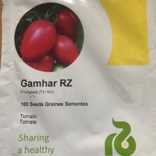 Tomato GAMHAR RZ F1 500seeds