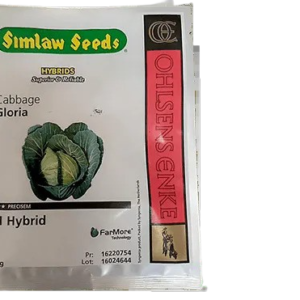 Gloria F1 Cabbage 50g