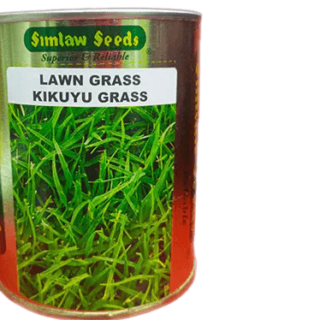 Kikuyu Lawn Grass 100g