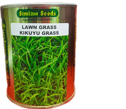 Kikuyu Lawn Grass 100g
